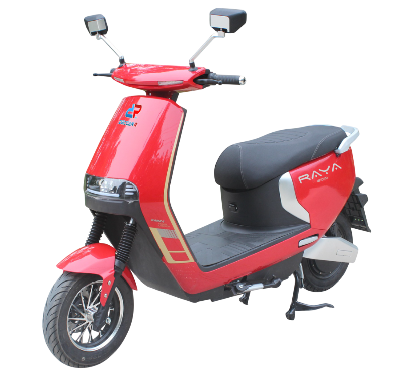 RAYA ECO